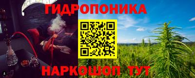 молекула духа Берёзовский