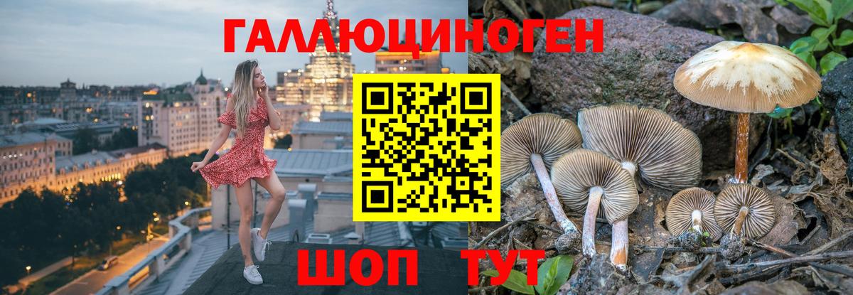 Галлюциногенные грибы мицелий  хочу наркоту  Вязьма  Вход с VPN 
