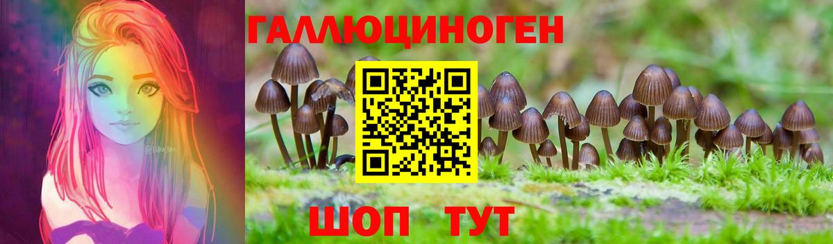 Псилоцибиновые грибы прущие грибы Вязьма